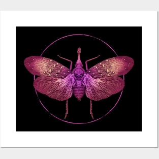 Lanternfly Posters and Art